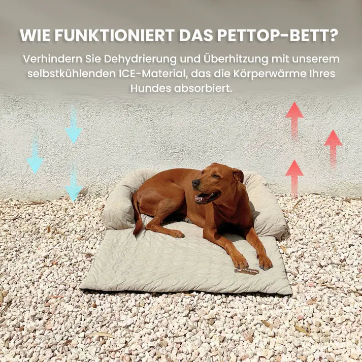 PetTop - Kühlendes Hundebett