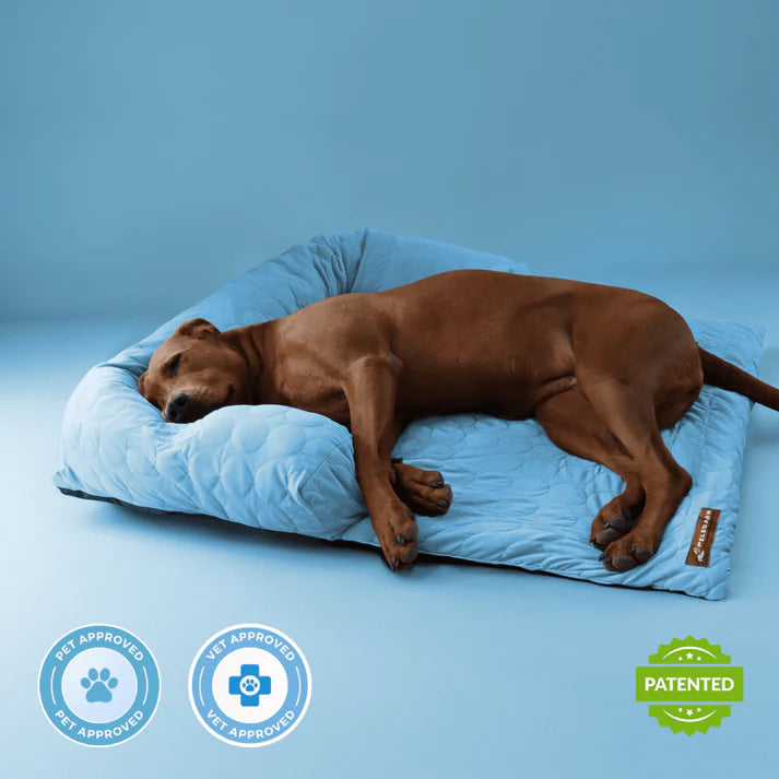 PetTop - Kühlendes Hundebett