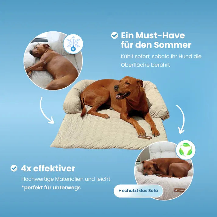 PetTop - Kühlendes Hundebett