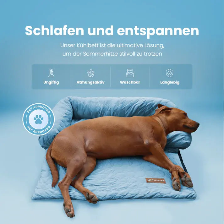 PetTop - Kühlendes Hundebett