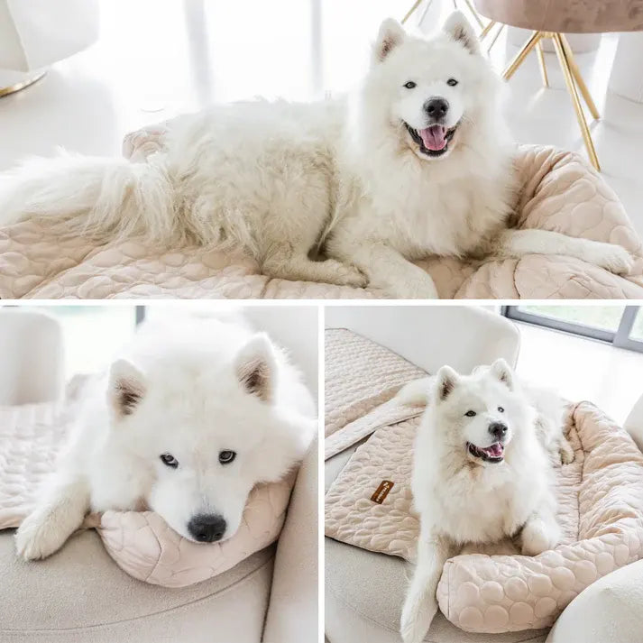 PetTop - Kühlendes Hundebett