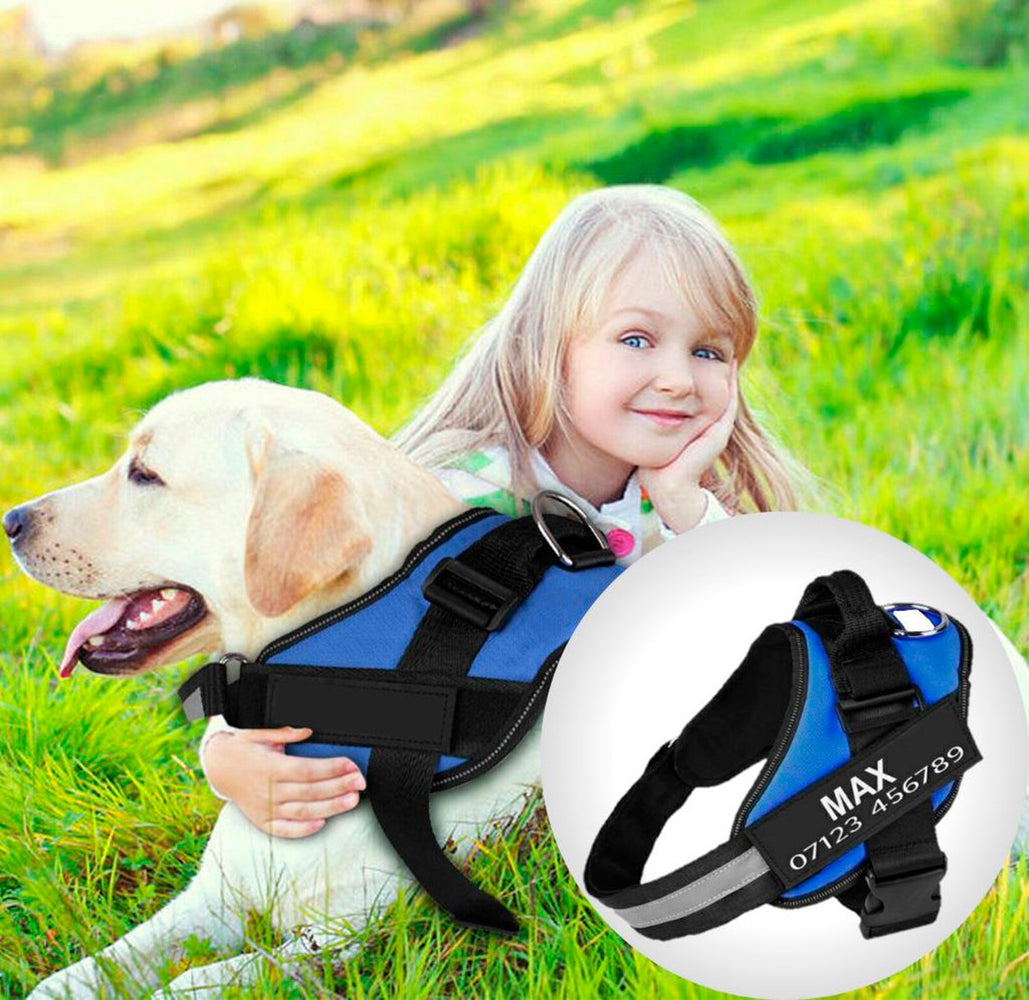 SafeDog® - Anti-Zug-Gurt