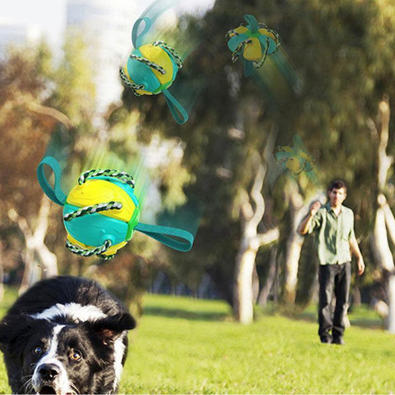 FrisbeeFun®