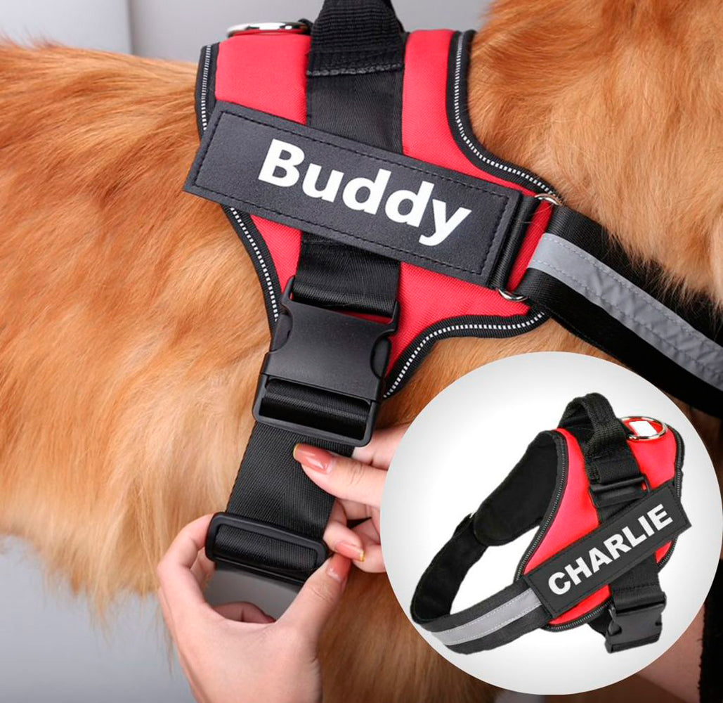 SafeDog® - Anti-Zug-Gurt